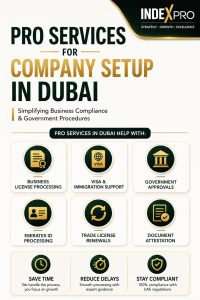 PRO Services for Company Setup in Dubai